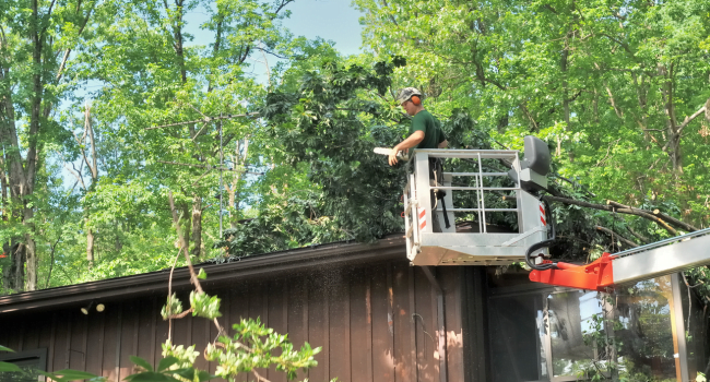 Diseño sin título - 2024-05-28T171210.591